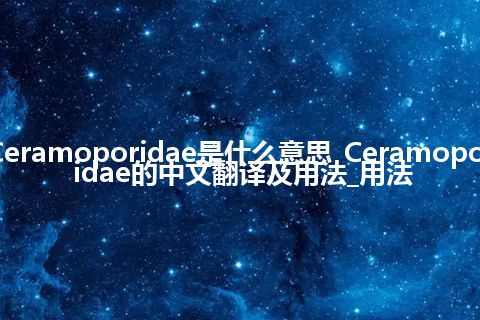 Ceramoporidae是什么意思_Ceramoporidae的中文翻译及用法_用法