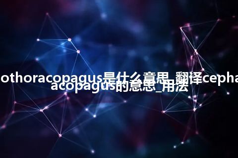 cephalothoracopagus是什么意思_翻译cephalothoracopagus的意思_用法