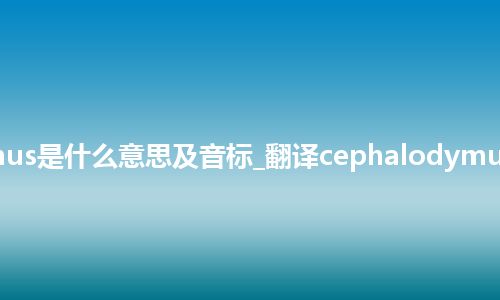 cephalodymus是什么意思及音标_翻译cephalodymus的意思_用法