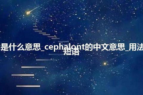 cephalont是什么意思_cephalont的中文意思_用法_例句_英语短语