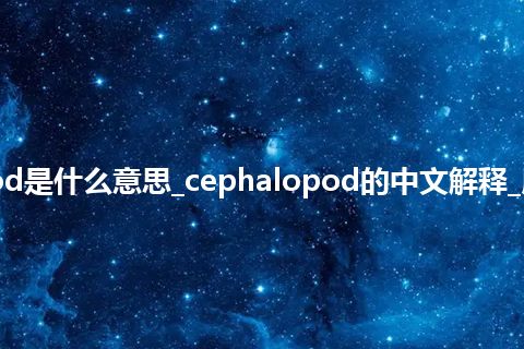 cephalopod是什么意思_cephalopod的中文解释_用法_同义词