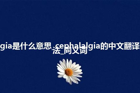 cephalalgia是什么意思_cephalalgia的中文翻译及用法_用法_同义词