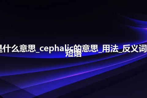 cephalic是什么意思_cephalic的意思_用法_反义词_例句_英语短语