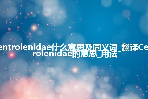 Centrolenidae什么意思及同义词_翻译Centrolenidae的意思_用法