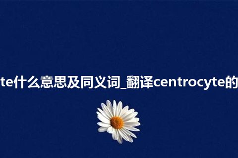 centrocyte什么意思及同义词_翻译centrocyte的意思_用法