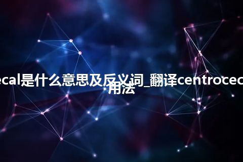 centrocecal是什么意思及反义词_翻译centrocecal的意思_用法