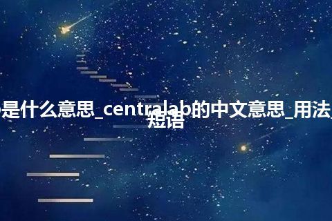 centralab是什么意思_centralab的中文意思_用法_例句_英语短语