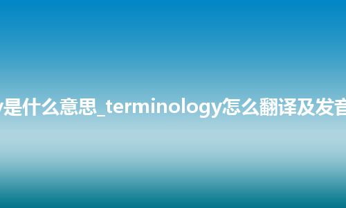 terminology是什么意思_terminology怎么翻译及发音_用法_同义词