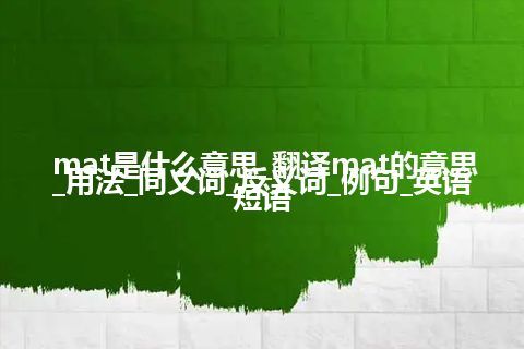 mat是什么意思_翻译mat的意思_用法_同义词_反义词_例句_英语短语