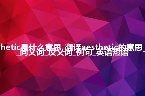 aesthetic是什么意思_翻译aesthetic的意思_用法_同义词_反义词_例句_英语短语