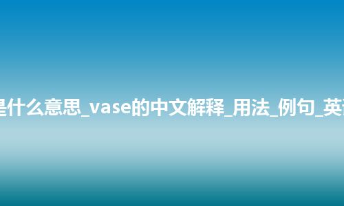 vase是什么意思_vase的中文解释_用法_例句_英语短语