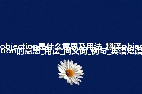 objection是什么意思及用法_翻译objection的意思_用法_同义词_例句_英语短语