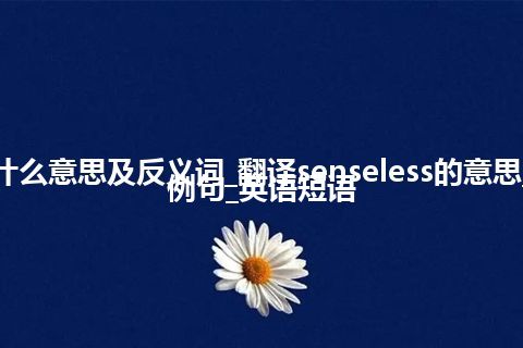 senseless是什么意思及反义词_翻译senseless的意思_用法_同义词_例句_英语短语