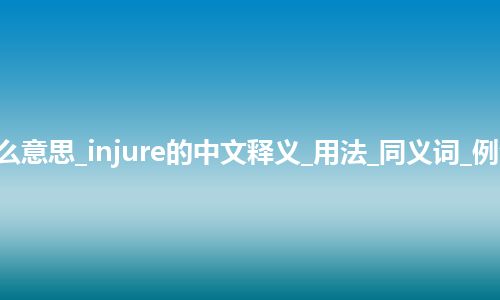 injure是什么意思_injure的中文释义_用法_同义词_例句_英语短语