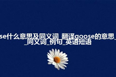 goose什么意思及同义词_翻译goose的意思_用法_同义词_例句_英语短语