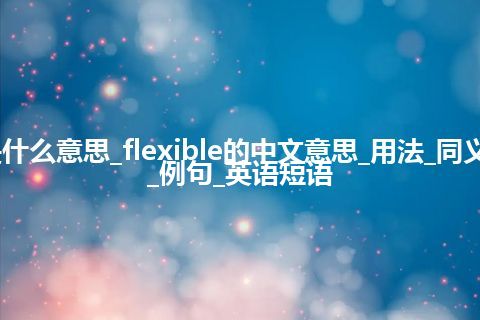 flexible是什么意思_flexible的中文意思_用法_同义词_反义词_例句_英语短语