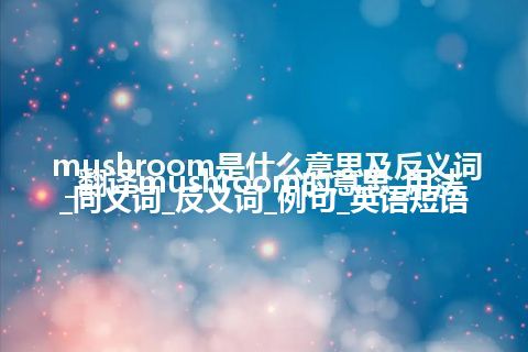 mushroom是什么意思及反义词_翻译mushroom的意思_用法_同义词_反义词_例句_英语短语