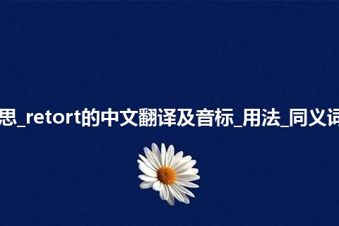 retort是什么意思_retort的中文翻译及音标_用法_同义词_例句_英语短语