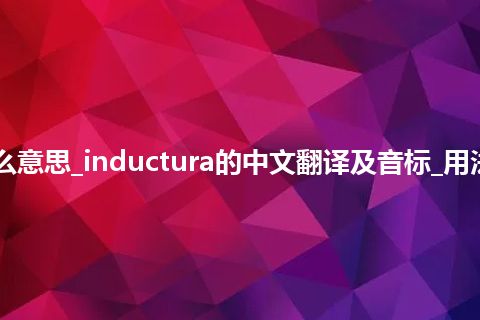 inductura是什么意思_inductura的中文翻译及音标_用法_例句_英语短语