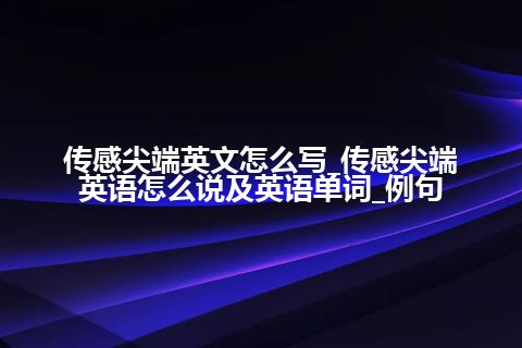 传感尖端英文怎么写_传感尖端英语怎么说及英语单词_例句