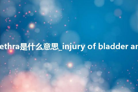 injury of bladder and urethra是什么意思_injury of bladder and urethra的中文释义_用法