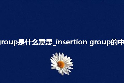 insertion group是什么意思_insertion group的中文释义_用法