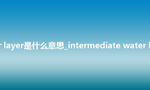 intermediate water layer是什么意思_intermediate water layer的中文意思_用法