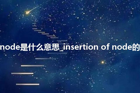 insertion of node是什么意思_insertion of node的中文释义_用法