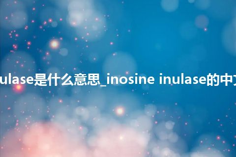 inosine inulase是什么意思_inosine inulase的中文意思_用法