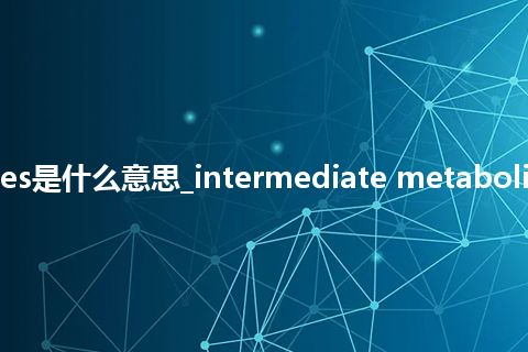 intermediate metabolites是什么意思_intermediate metabolites的中文翻译及用法_用法