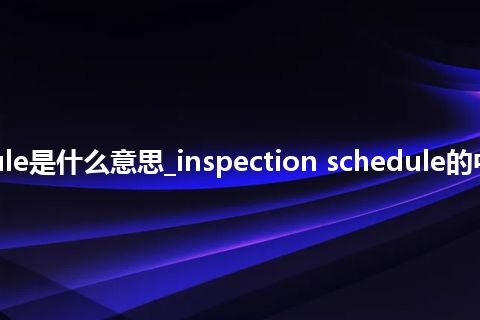 inspection schedule是什么意思_inspection schedule的中文翻译及音标_用法