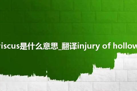 injury of hollow viscus是什么意思_翻译injury of hollow viscus的意思_用法