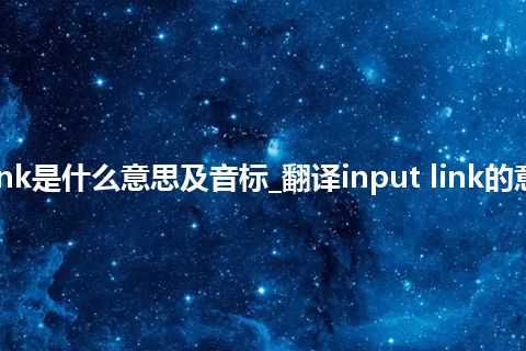 input link是什么意思及音标_翻译input link的意思_用法