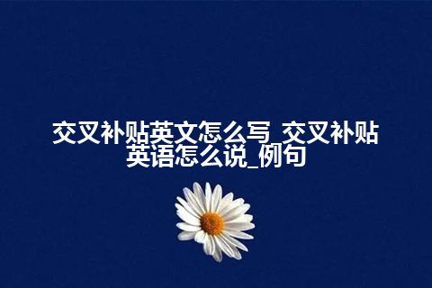 交叉补贴英文怎么写_交叉补贴英语怎么说_例句