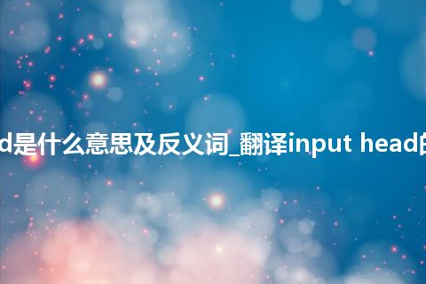 input head是什么意思及反义词_翻译input head的意思_用法