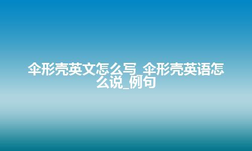 伞形壳英文怎么写_伞形壳英语怎么说_例句