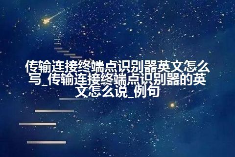 传输连接终端点识别器英文怎么写_传输连接终端点识别器的英文怎么说_例句