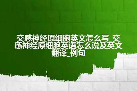 交感神经原细胞英文怎么写_交感神经原细胞英语怎么说及英文翻译_例句