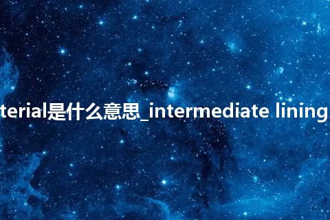 intermediate lining material是什么意思_intermediate lining material的中文意思_用法