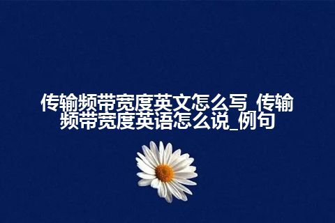 传输频带宽度英文怎么写_传输频带宽度英语怎么说_例句