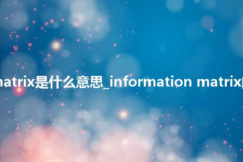 information matrix是什么意思_information matrix的中文意思_用法