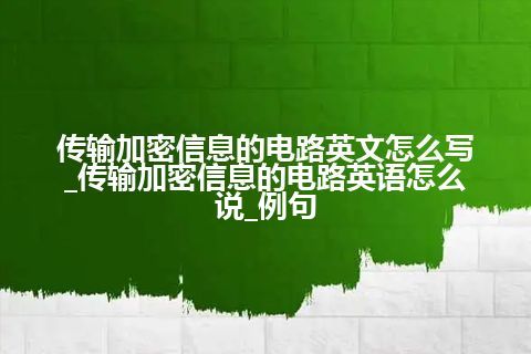 传输加密信息的电路英文怎么写_传输加密信息的电路英语怎么说_例句