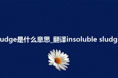 insoluble sludge是什么意思_翻译insoluble sludge的意思_用法