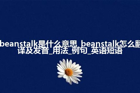 beanstalk是什么意思_beanstalk怎么翻译及发音_用法_例句_英语短语