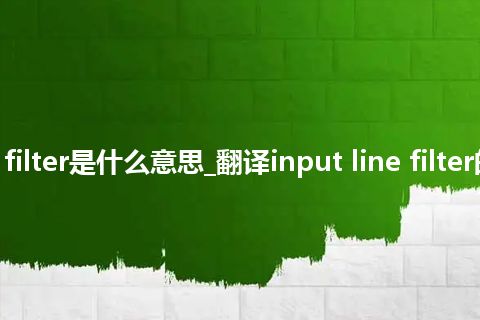 input line filter是什么意思_翻译input line filter的意思_用法