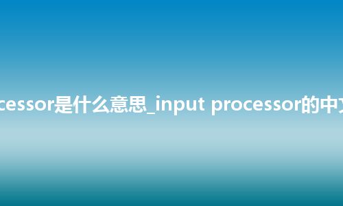 input processor是什么意思_input processor的中文释义_用法