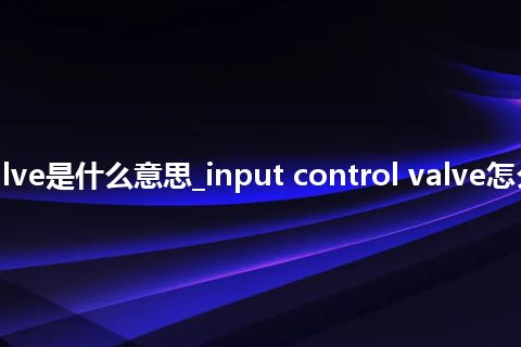 input control valve是什么意思_input control valve怎么翻译及发音_用法