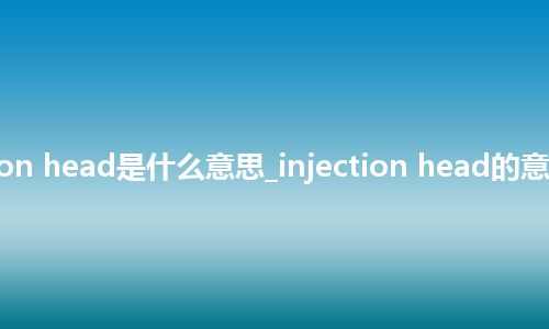 injection head是什么意思_injection head的意思_用法