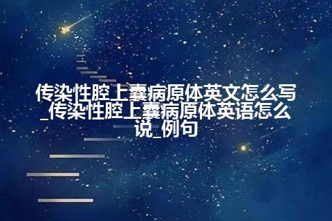 传染性腔上囊病原体英文怎么写_传染性腔上囊病原体英语怎么说_例句