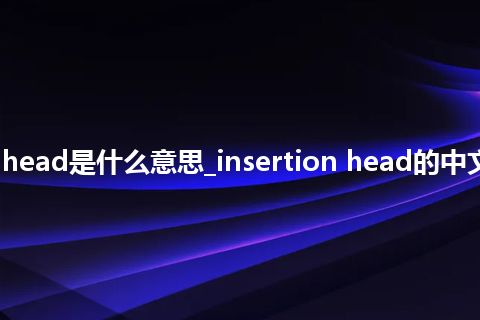 insertion head是什么意思_insertion head的中文意思_用法